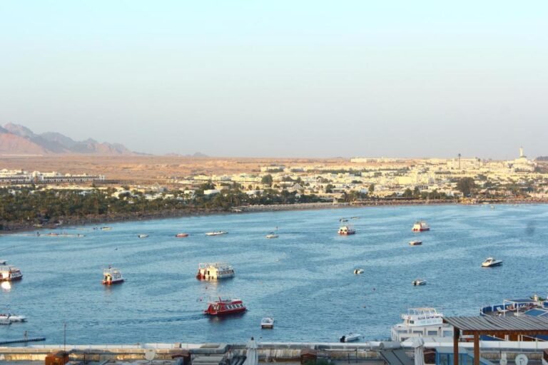 ايدين روك 13